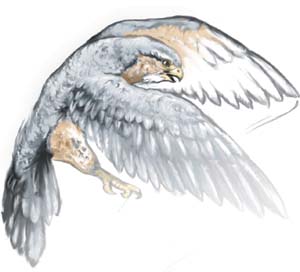merlin