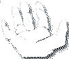 palm up symbol