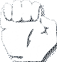 fist symbol