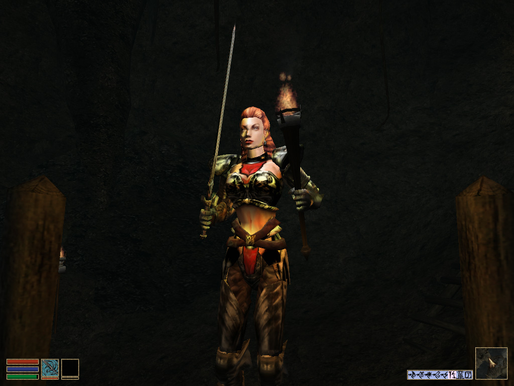 torchlight